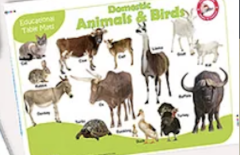 Jolly Kids Picture Learning Educational Table Mat - Domestic Animals and Birds Jolly Kids Picture Learning Educational Table Mat - Domestic Animals and Birds